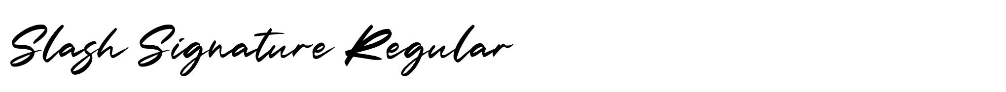 Slash Signature Regular image